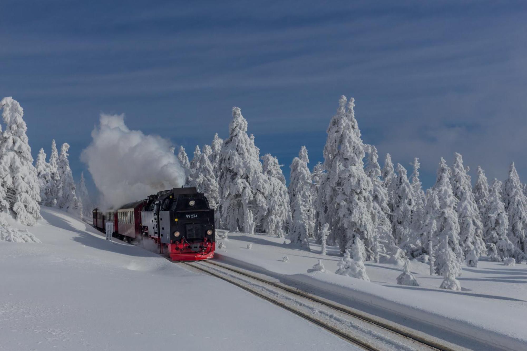 Fewo Kastanie Mit Balkon #Netflix #Innenstadtnaehe Von Harztraveler Бад-Гарцбург Экстерьер фото